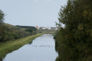 161-2014-08-24 Waterleidingduinen