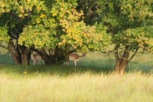043-2014-08-24 Waterleidingduinen