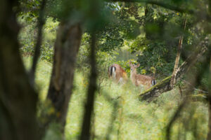 102-2014-08-24 Waterleidingduinen