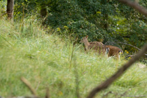 103-2014-08-24 Waterleidingduinen