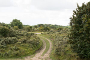 175-2014-08-24 Waterleidingduinen