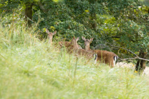 105-2014-08-24 Waterleidingduinen