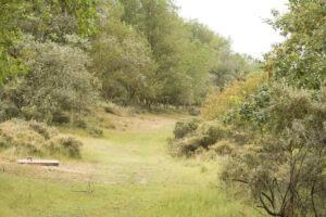 184-2014-08-24 Waterleidingduinen