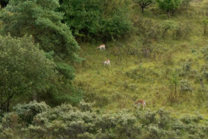 144-2014-08-24 Waterleidingduinen