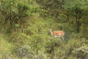 125-2014-08-24 Waterleidingduinen