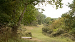 186-2014-08-24 Waterleidingduinen