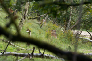 099-2014-08-24 Waterleidingduinen
