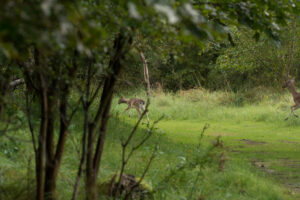 110-2014-08-24 Waterleidingduinen