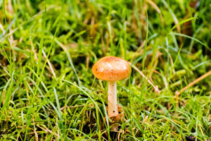 022-2014-08-24 Waterleidingduinen