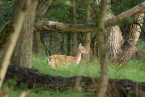 073-2014-08-24 Waterleidingduinen