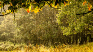 038-2014-08-24 Waterleidingduinen