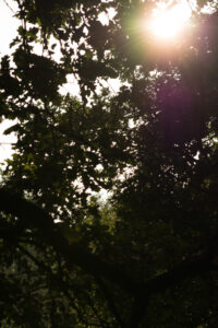 118-2014-08-24 Waterleidingduinen