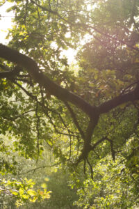 116-2014-08-24 Waterleidingduinen