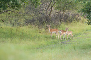 085-2014-08-24 Waterleidingduinen
