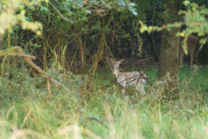 069-2014-08-24 Waterleidingduinen