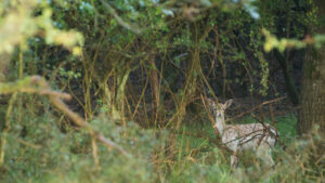 068-2014-08-24 Waterleidingduinen