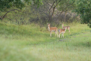 083-2014-08-24 Waterleidingduinen