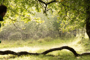 119-2014-08-24 Waterleidingduinen