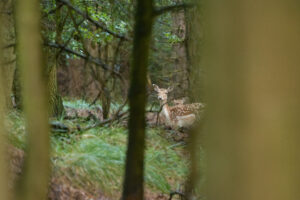 051-2014-08-24 Waterleidingduinen