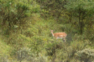 126-2014-08-24 Waterleidingduinen