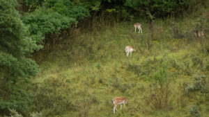 151-2014-08-24 Waterleidingduinen