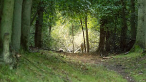 005-2014-08-24 Waterleidingduinen