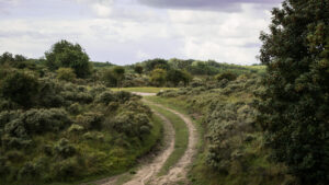 176-2014-08-24 Waterleidingduinen