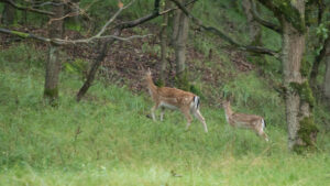 020-2014-08-24 Waterleidingduinen