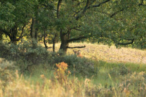 059-2014-08-24 Waterleidingduinen