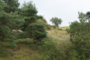157-2014-08-24 Waterleidingduinen