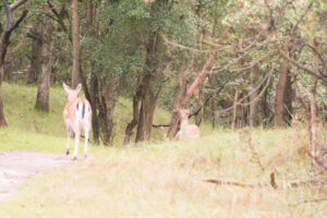 017-2014-08-24 Waterleidingduinen