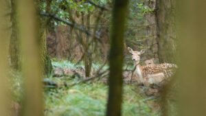 050-2014-08-24 Waterleidingduinen