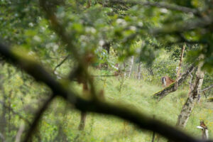100-2014-08-24 Waterleidingduinen
