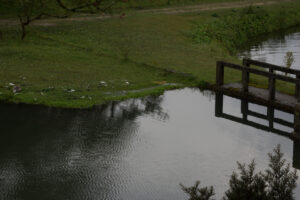 169-2014-08-24 Waterleidingduinen