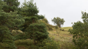 158-2014-08-24 Waterleidingduinen