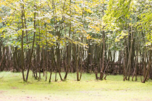 025-2014-08-24 Waterleidingduinen