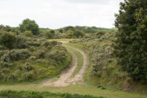 174-2014-08-24 Waterleidingduinen