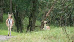 018-2014-08-24 Waterleidingduinen