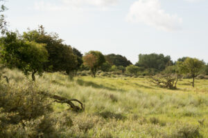 178-2014-08-24 Waterleidingduinen