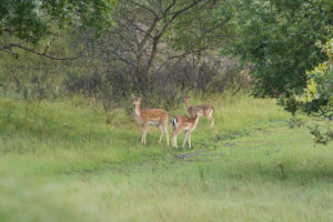 082-2014-08-24 Waterleidingduinen