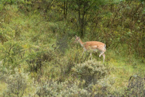 124-2014-08-24 Waterleidingduinen