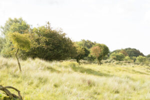179-2014-08-24 Waterleidingduinen