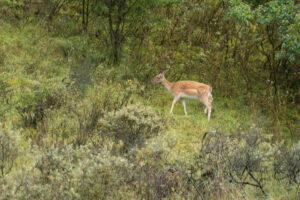 123-2014-08-24 Waterleidingduinen