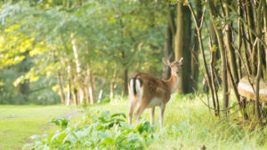 052-2014-08-24 Waterleidingduinen