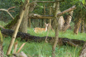 071-2014-08-24 Waterleidingduinen