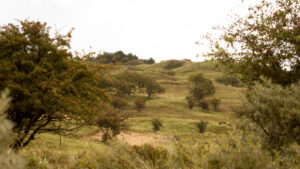187-2014-08-24 Waterleidingduinen