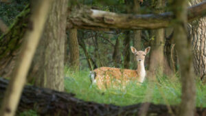 072-2014-08-24 Waterleidingduinen