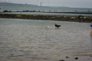 013-2014-07-27 Hoek van Holland