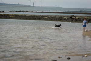015-2014-07-27 Hoek van Holland