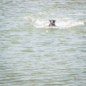 022-2014-07-27 Hoek van Holland